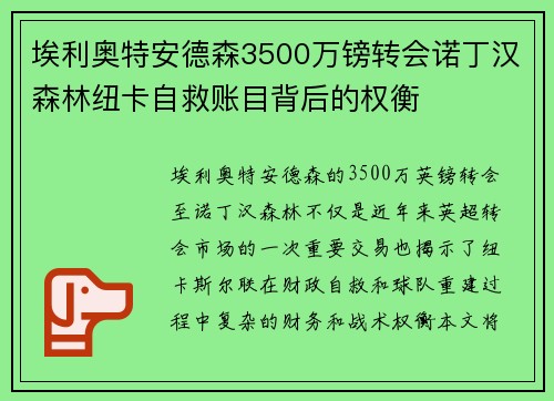 埃利奥特安德森3500万镑转会诺丁汉森林纽卡自救账目背后的权衡
